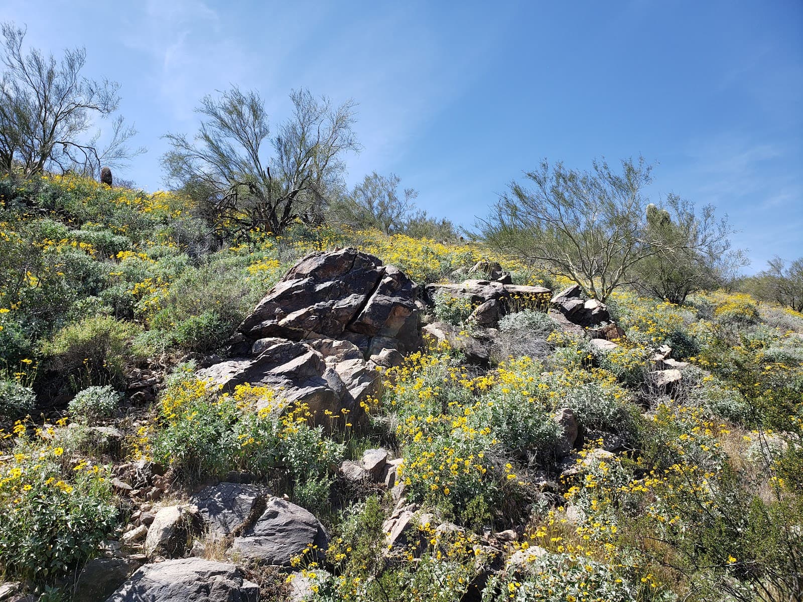 Lost Dog Wash Trailhead - Image 1