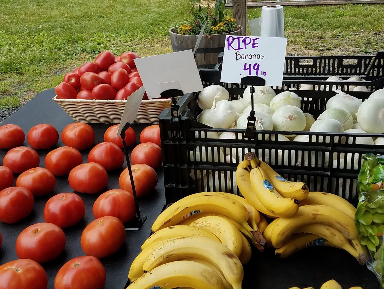 New Brunswick Community Farmers Market - Image 1