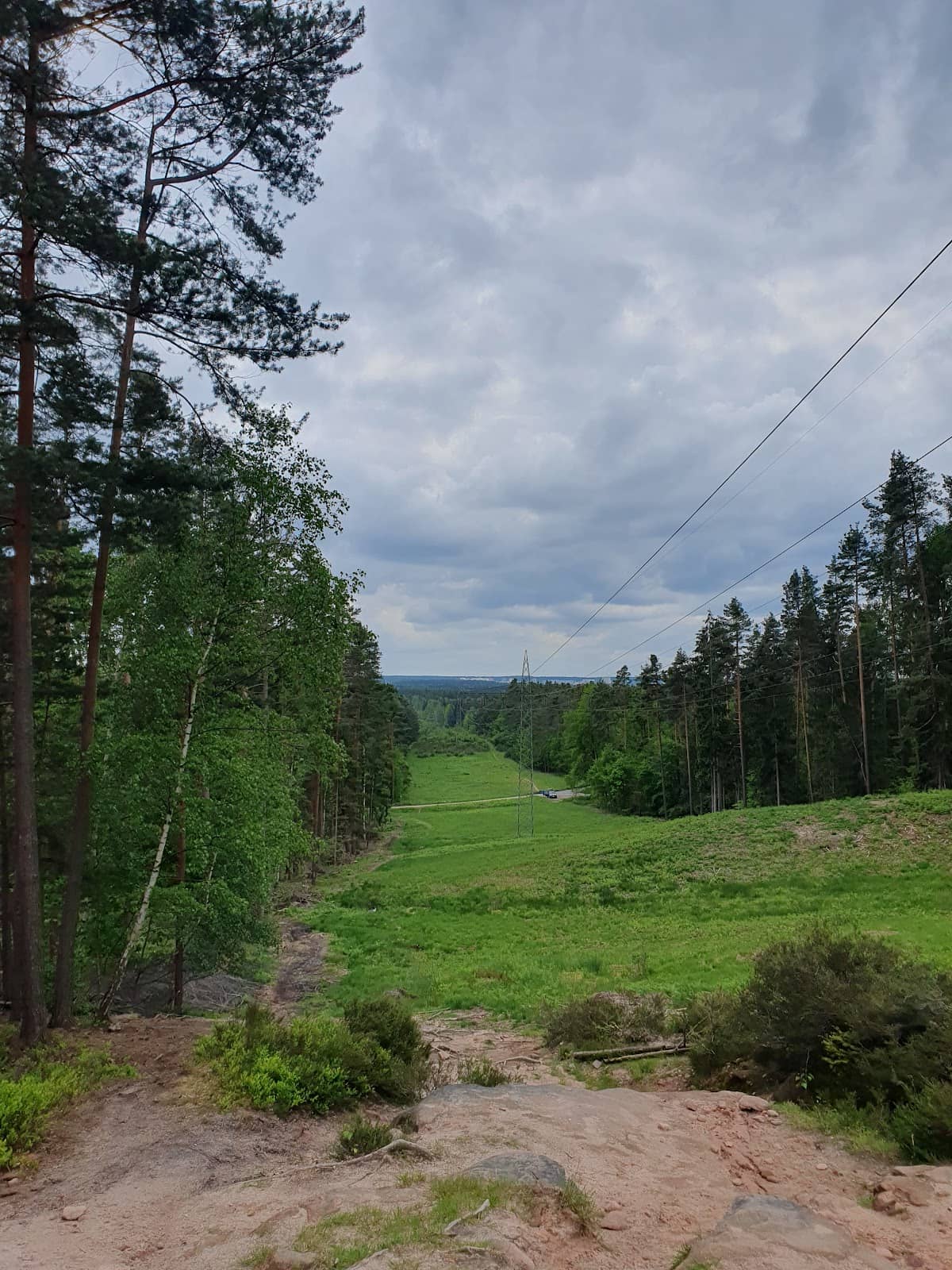 Vertical photo