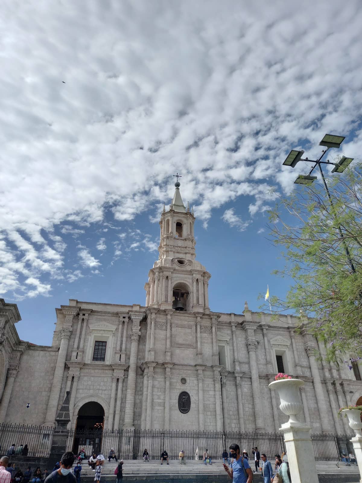 Vertical photo