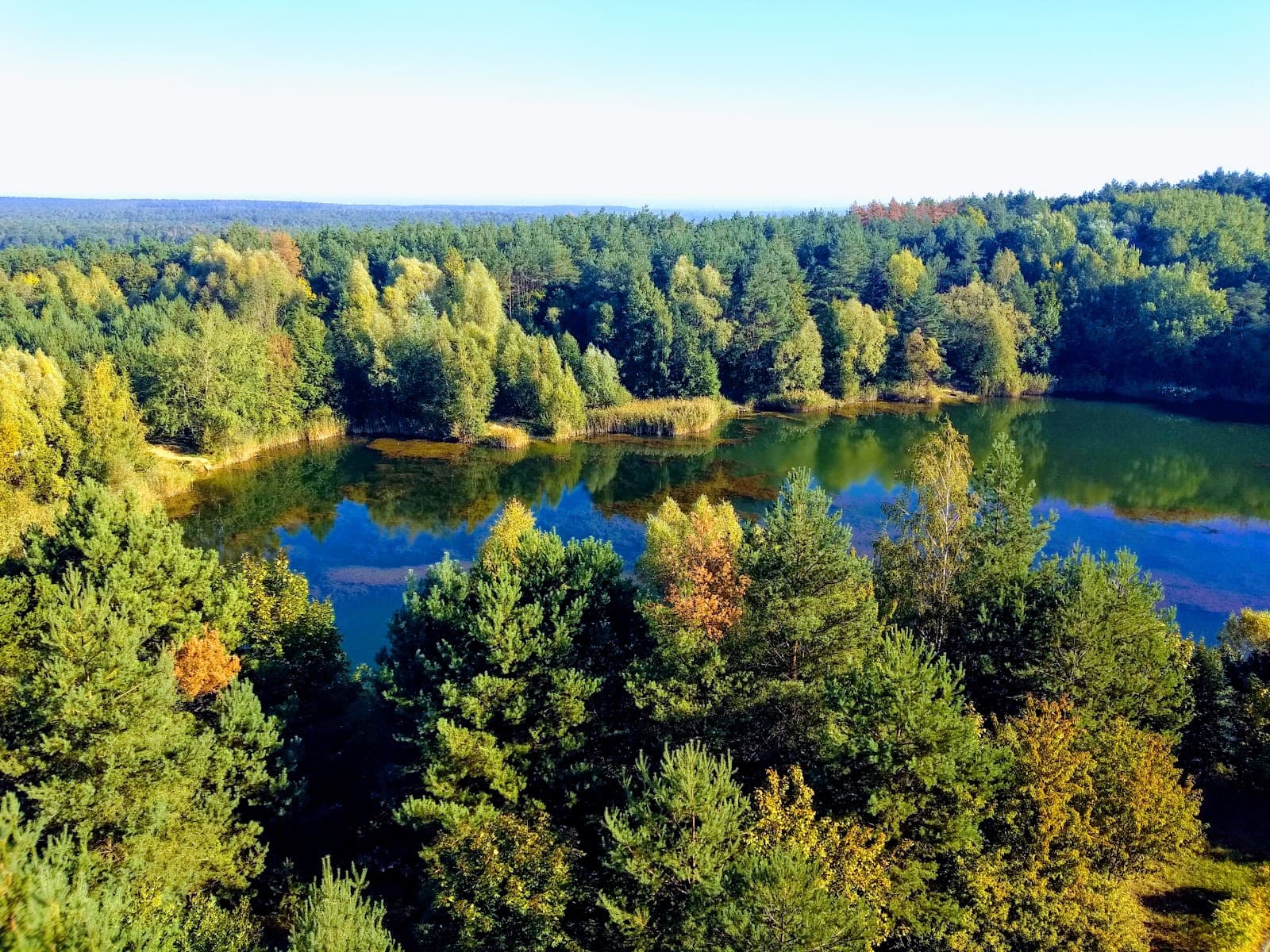 Wielkopolski National Park Poland - Image 1