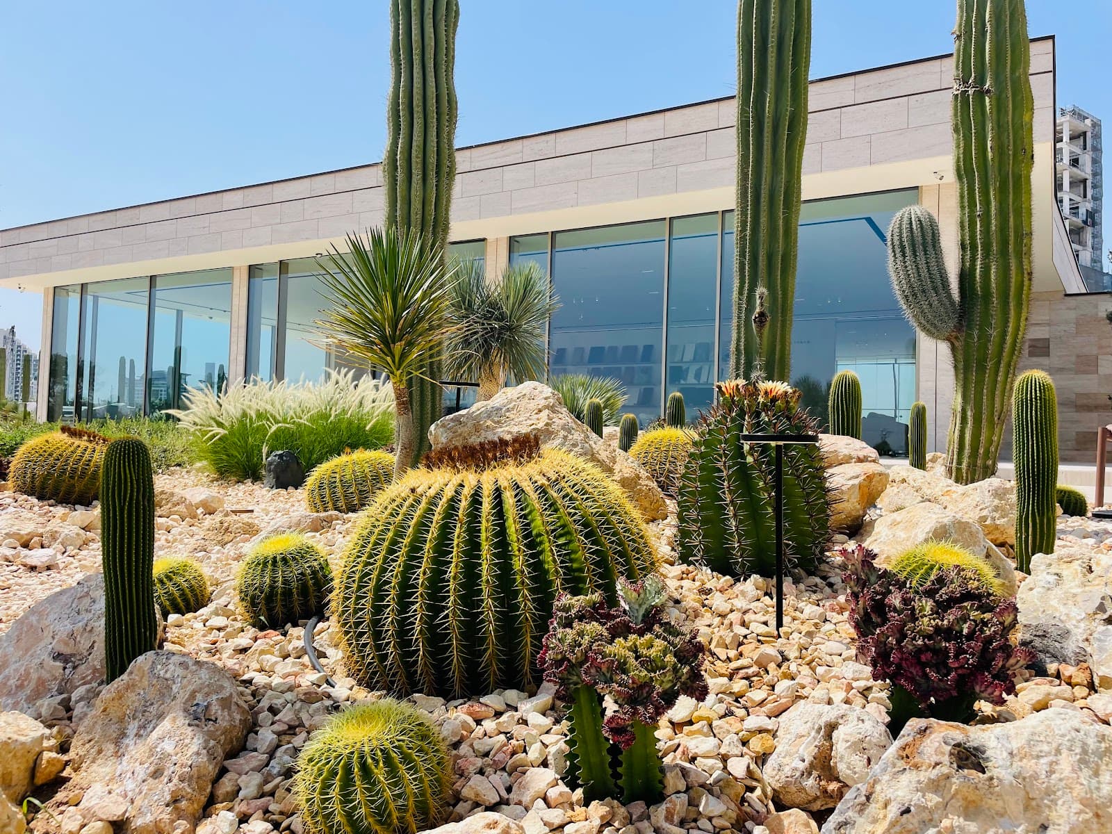 Cactus Park - Image 1