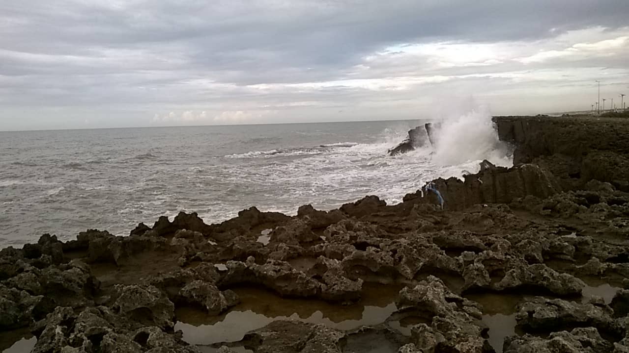 Vertical photo