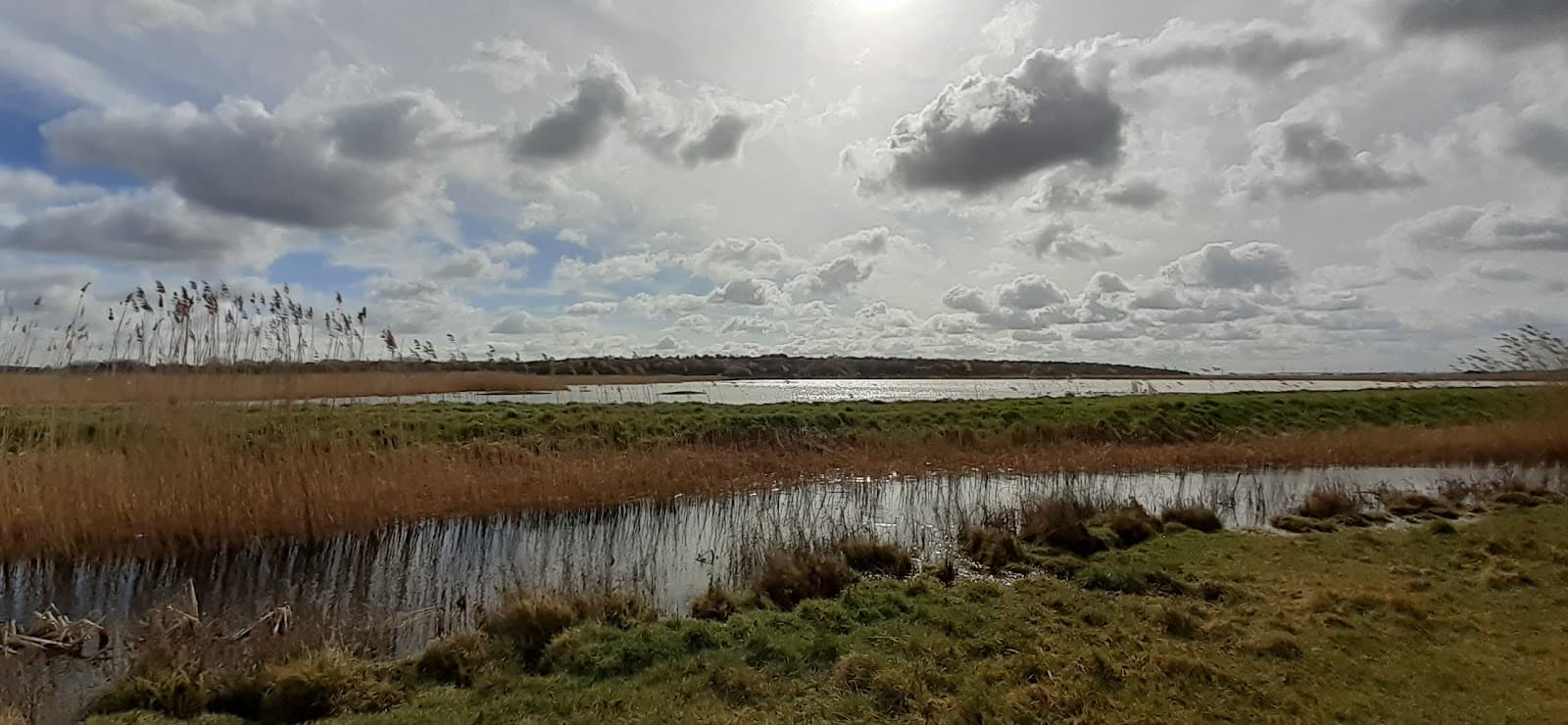 Fobbing Marsh Nature Reserve - Image 1