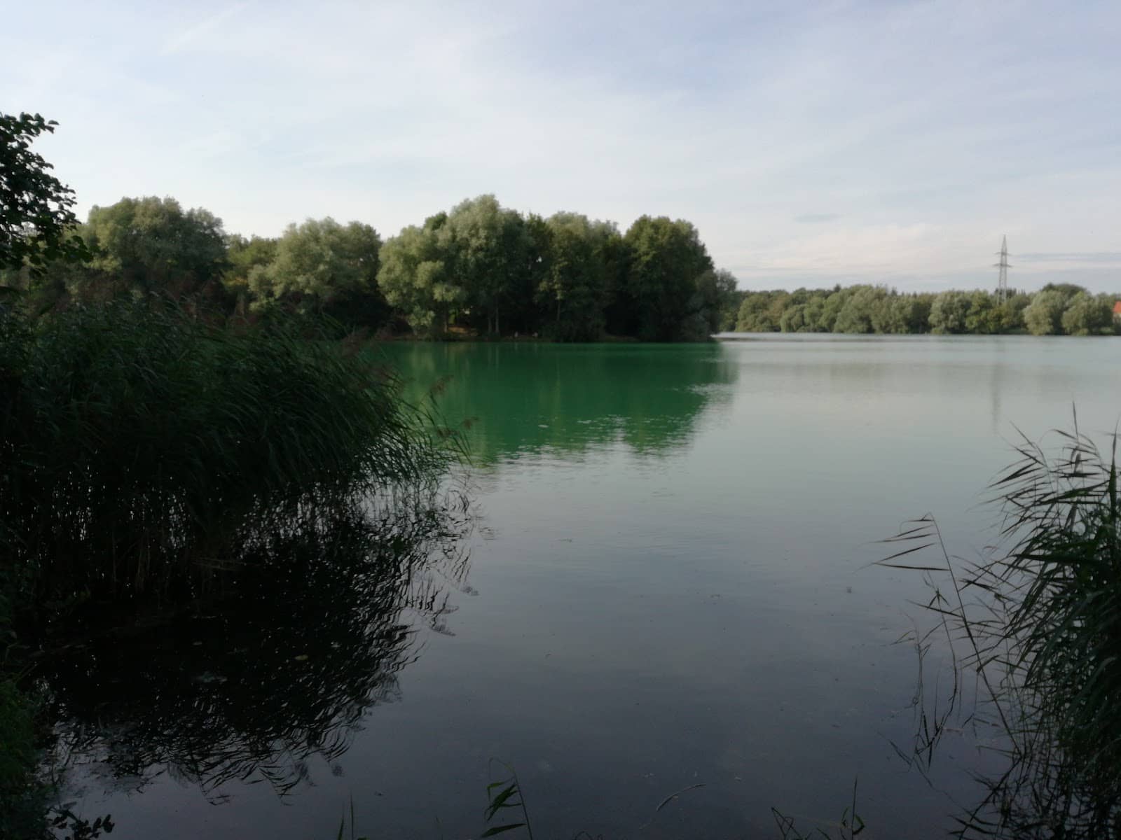 Bird and Swan Watching