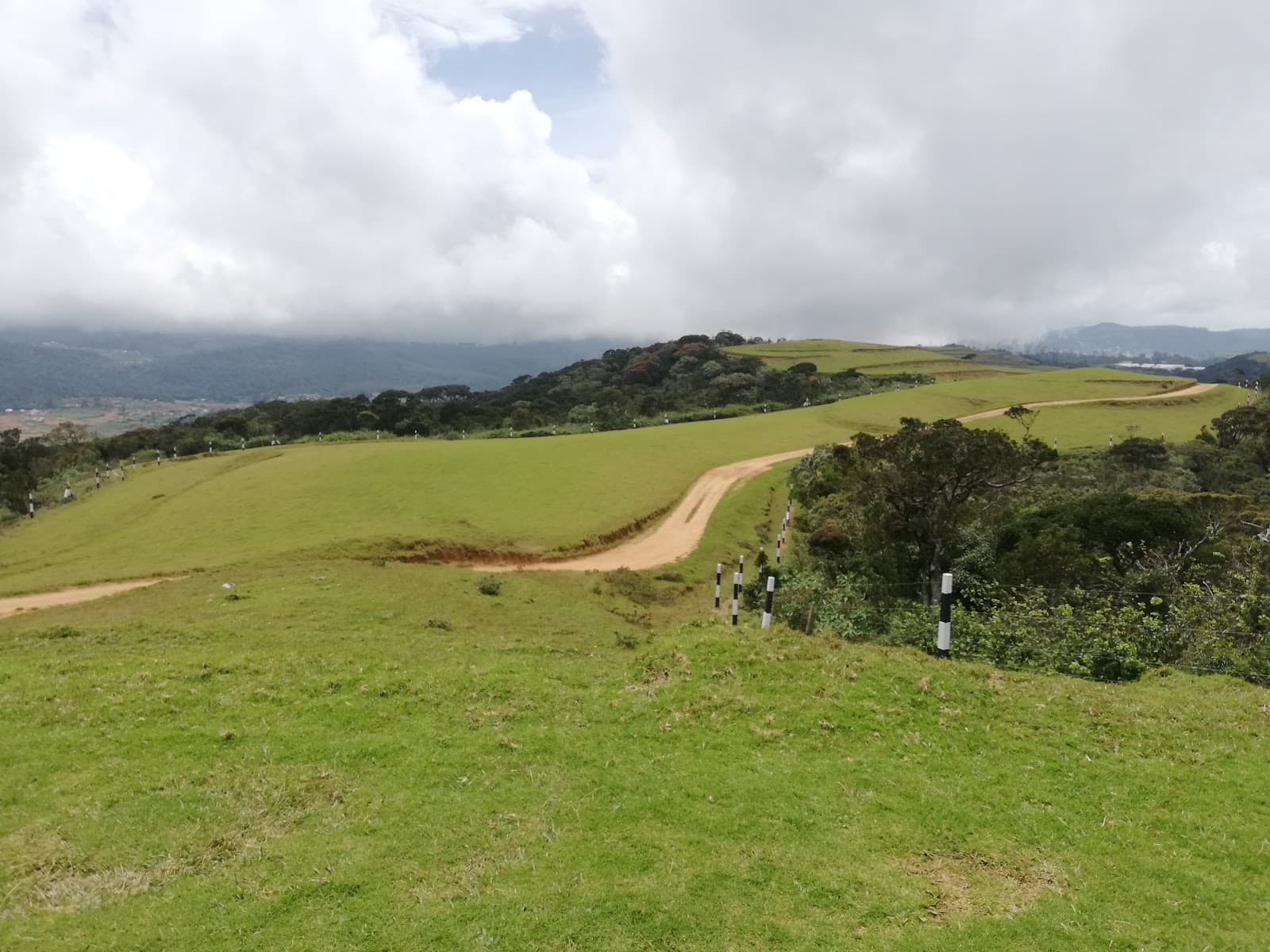 Moon Plains Sandathenna - Image 1