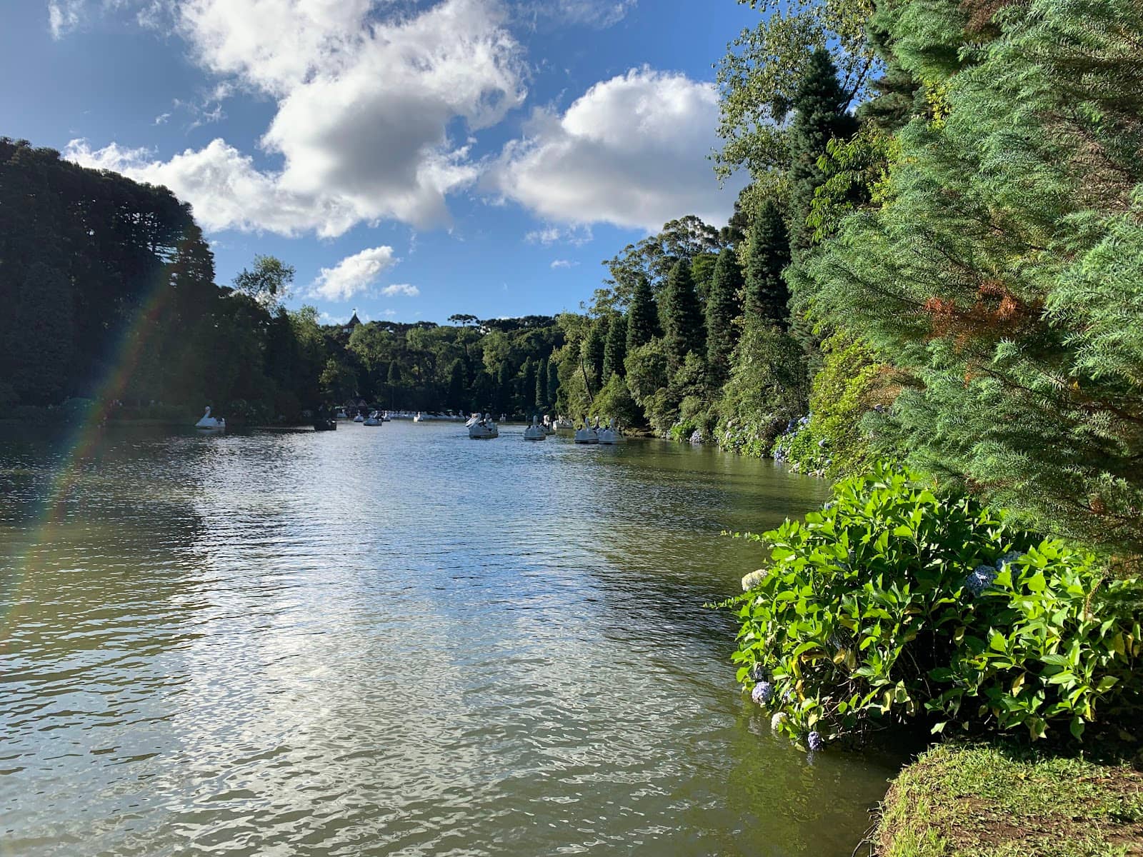 Lush Gardens and Walking Paths