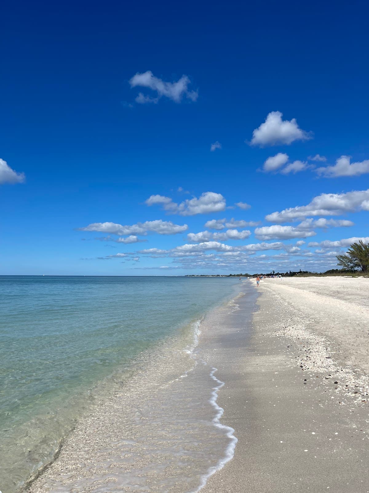 Casey Key Road (Scenic Drive) - Image 1