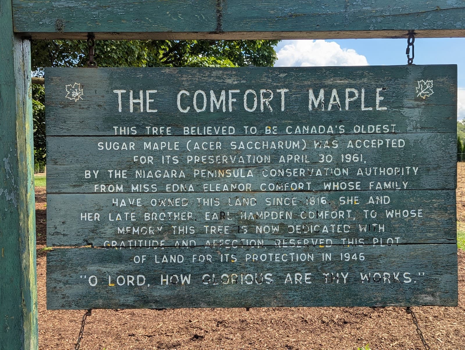 Comfort Maple Conservation Area - Image 1