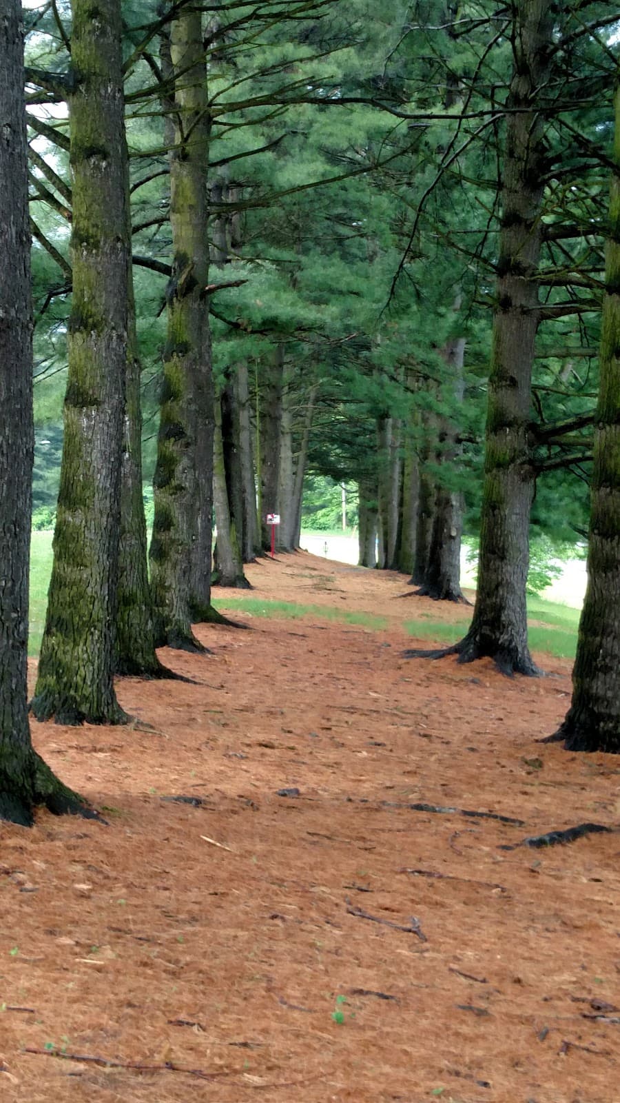 Deis Hill Park - Image 1