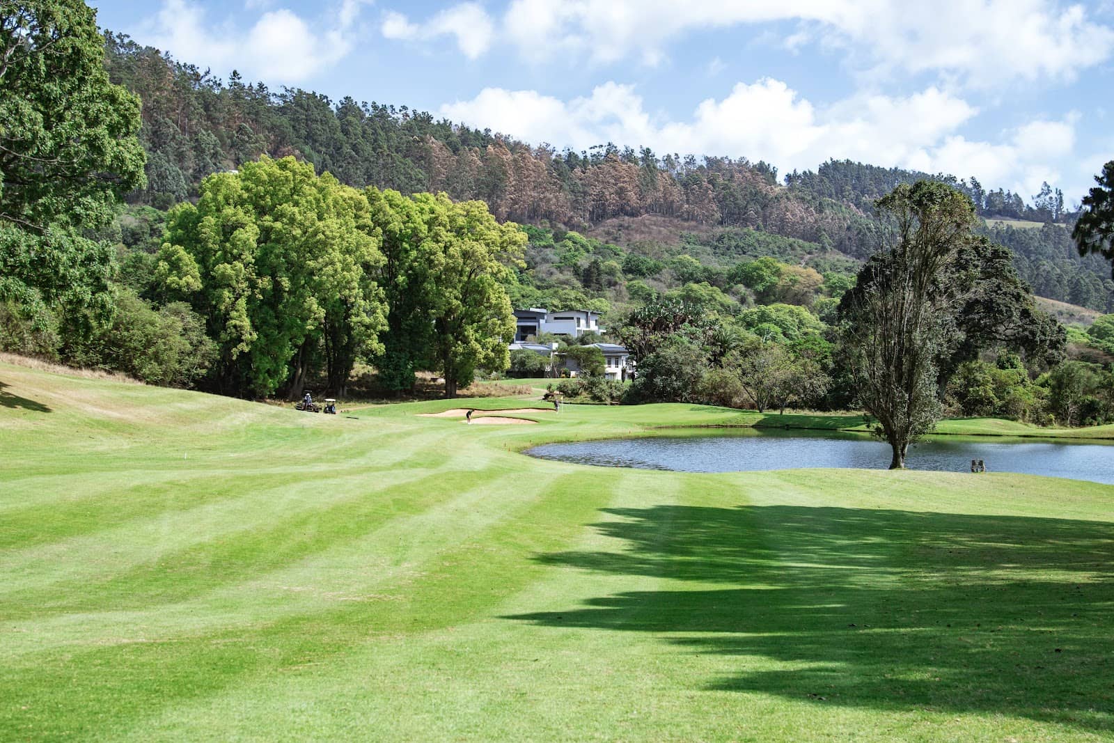 Padel and Pool Amenities