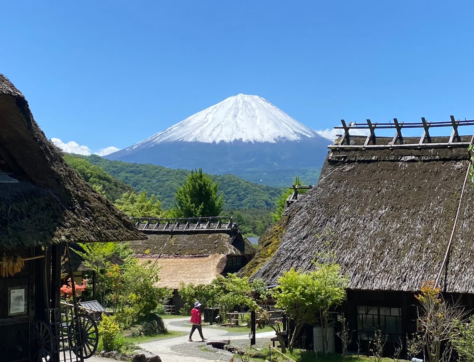 Saiko Iyashi-no-Sato Nenba - Image 1