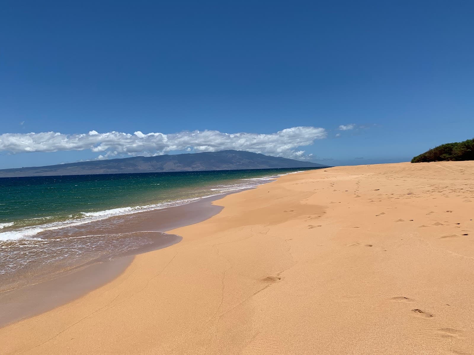 Polihua Beach - Image 1