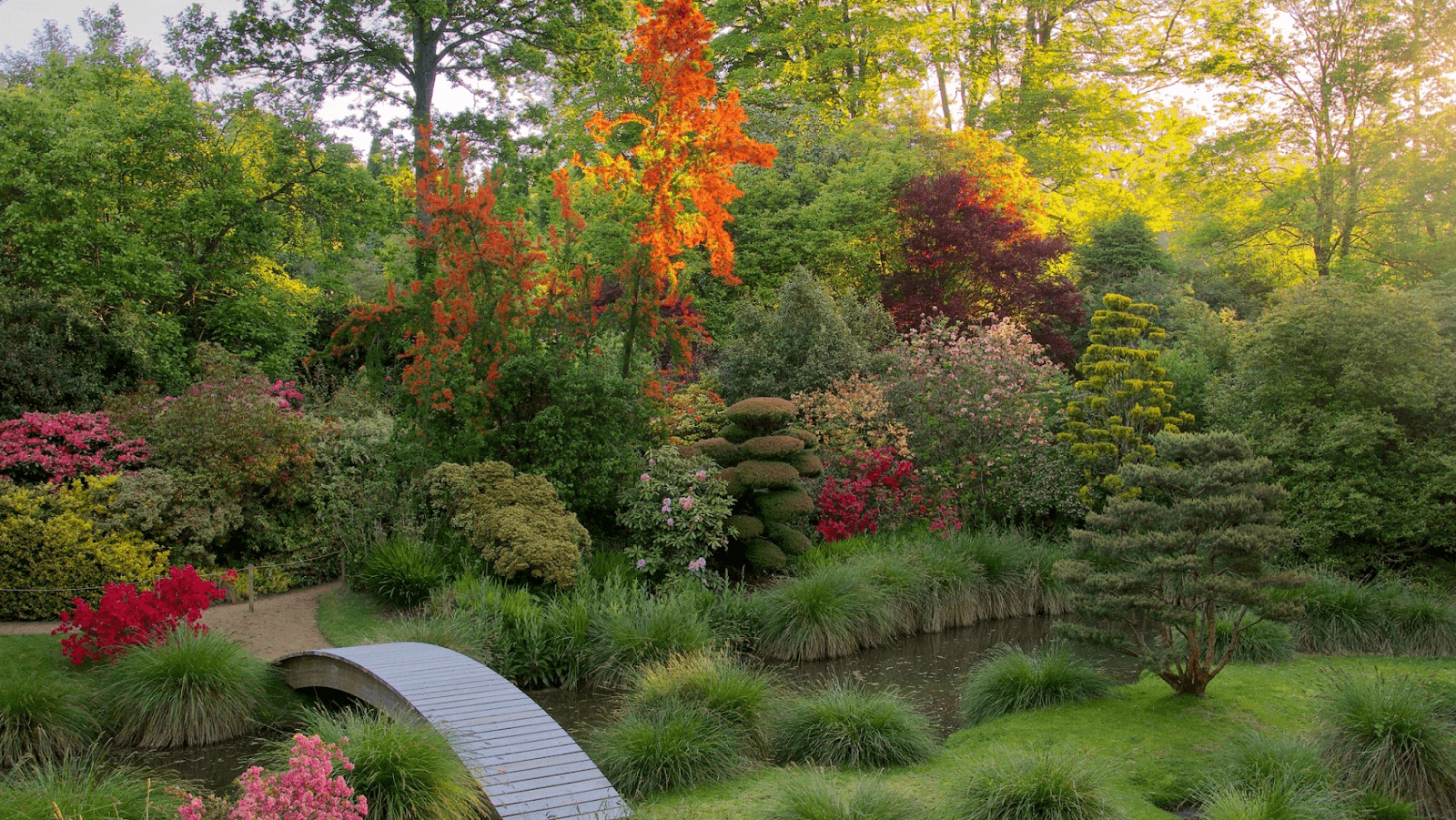 Parc Botanique de Haute Bretagne - Image 1