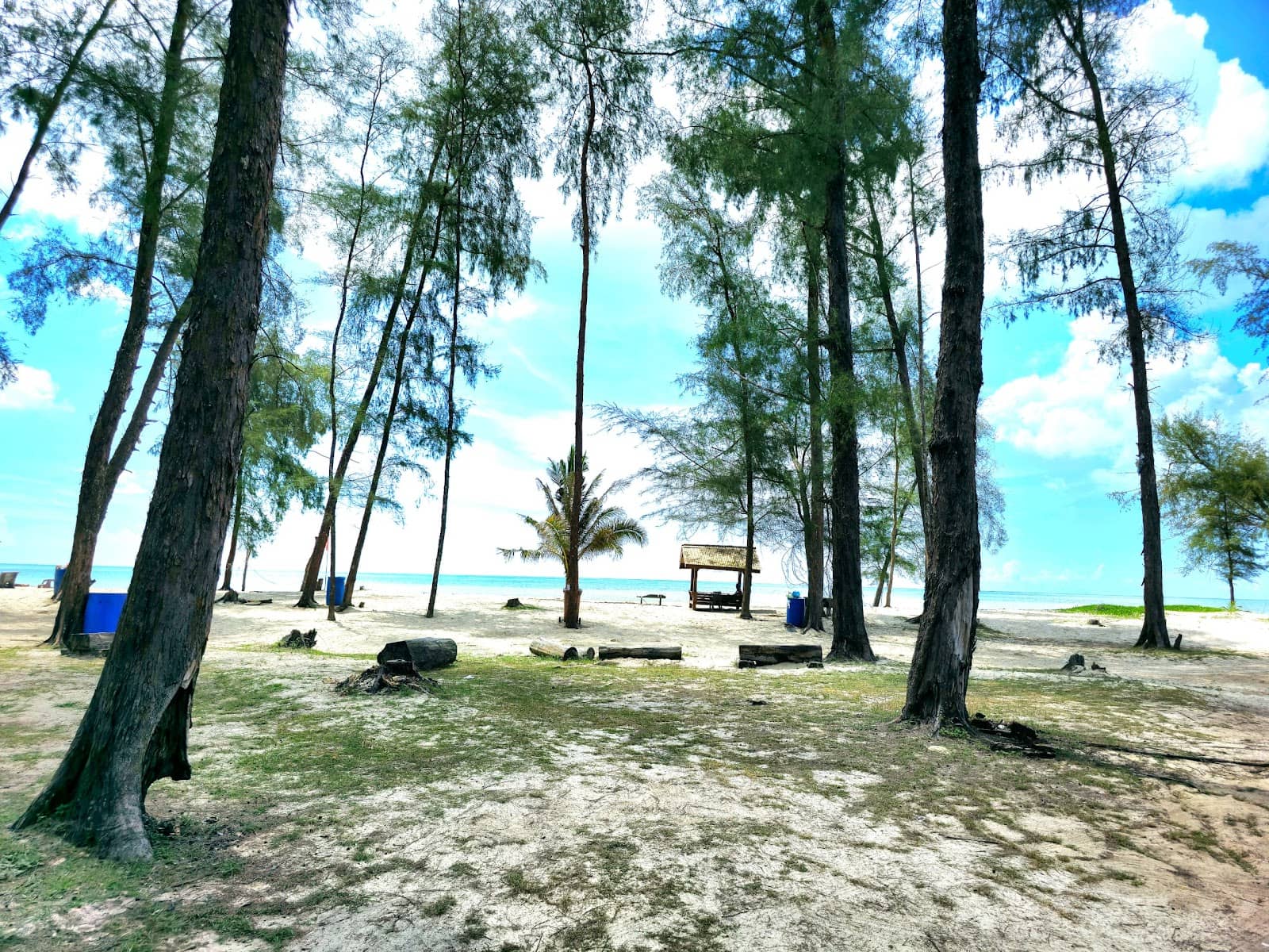 Clean and Lively Beach