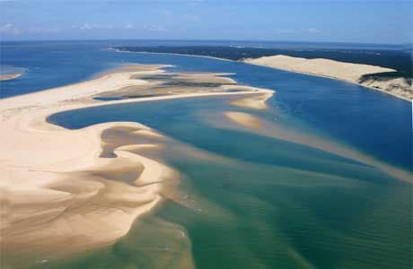 Banc d'Arguin Nature Reserve - Image 1