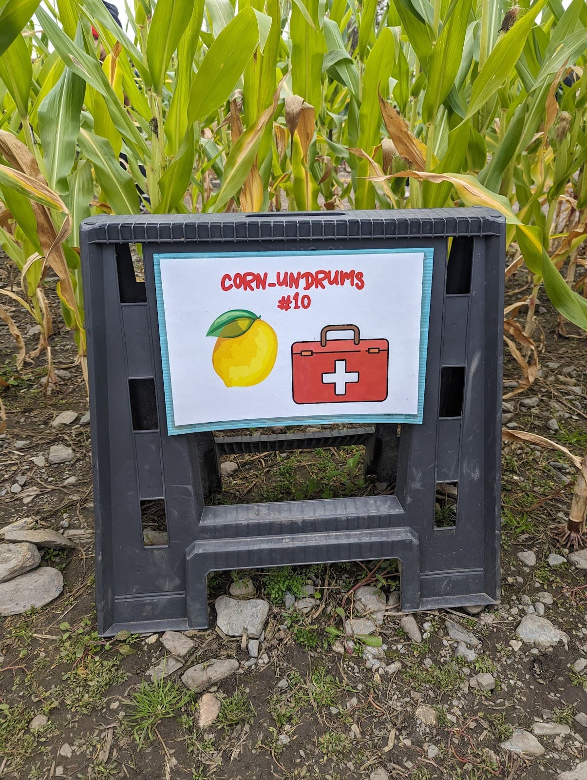 Davis Farmland & Mega Maze - Image 1