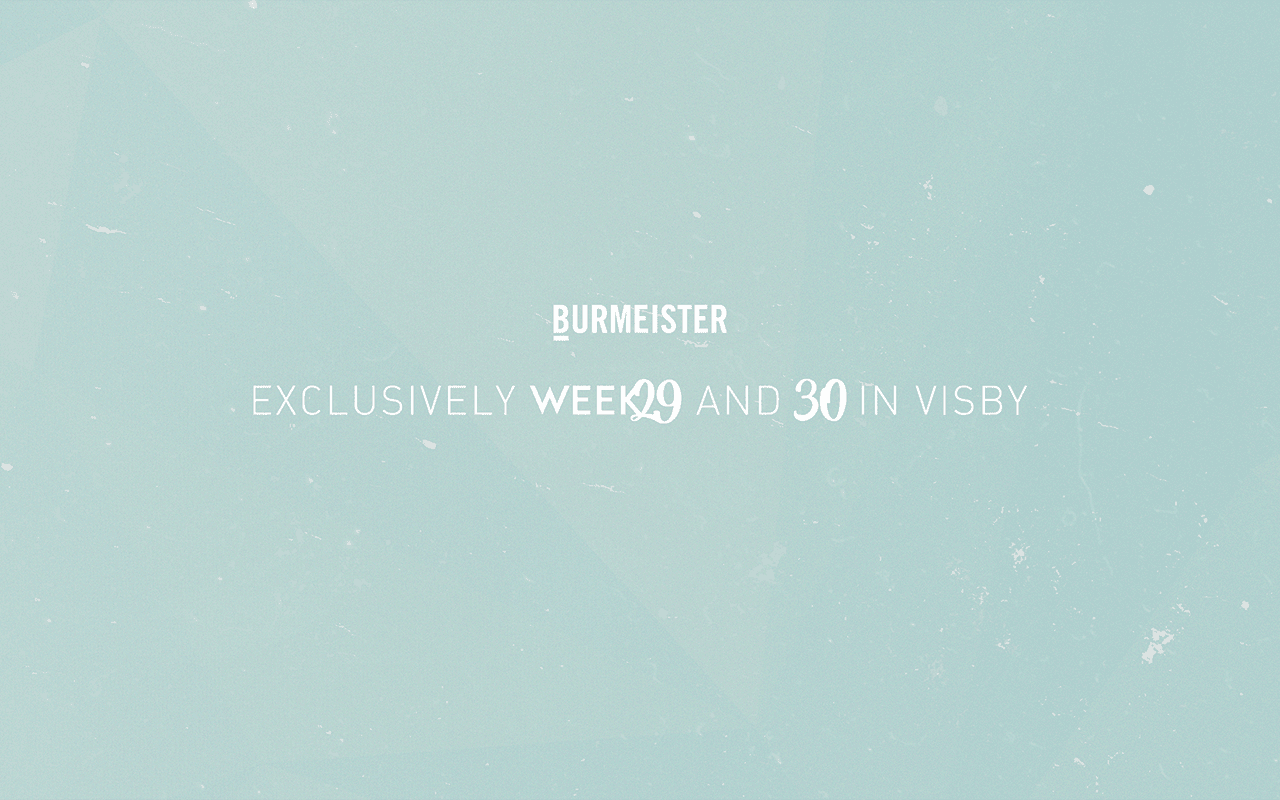 Burmeister House - Image 1