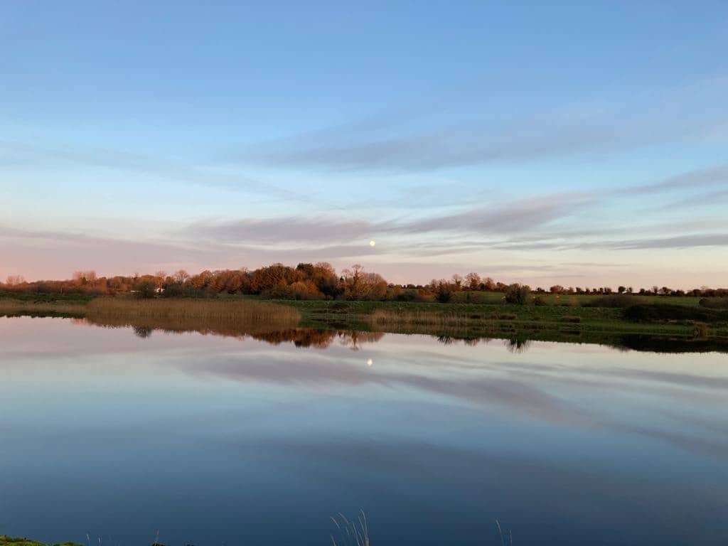 Picnic and Relaxation Spot