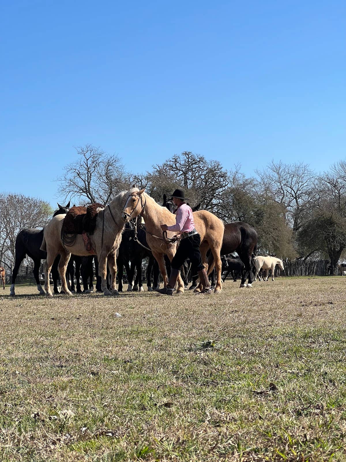 Gaucho Heritage Immersion