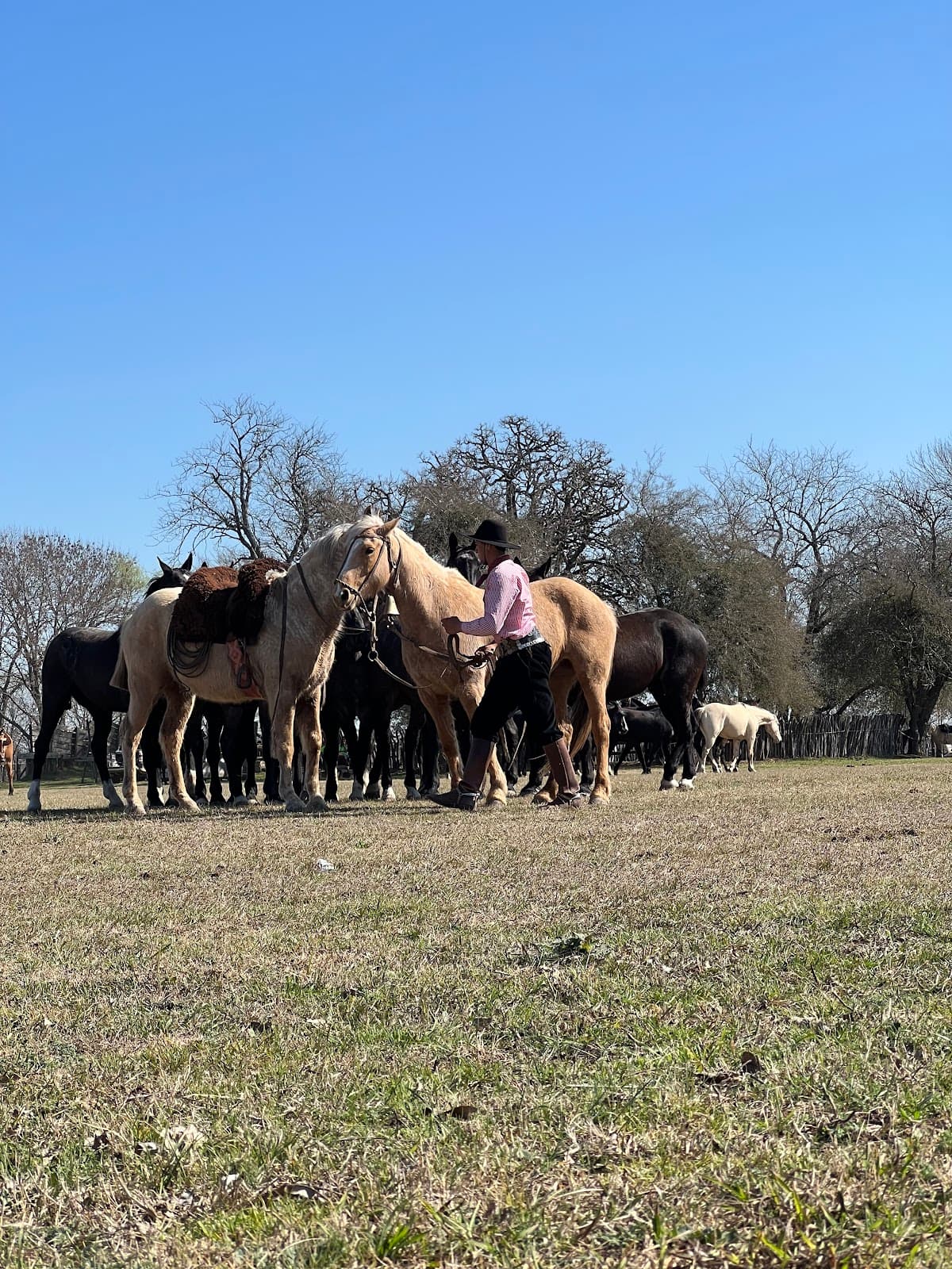 Parque Criollo Ricardo Güiraldes - Image 1