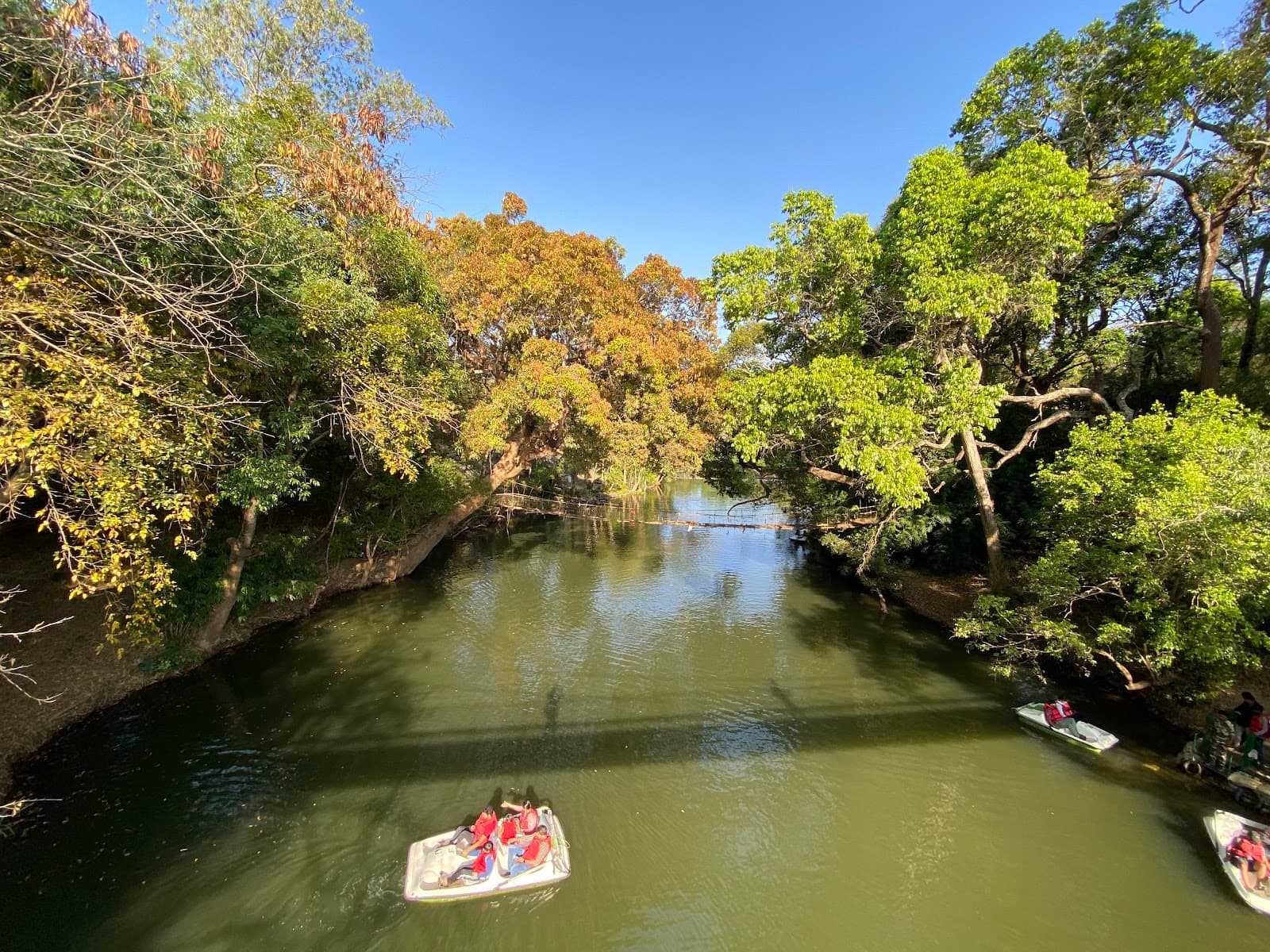 Kaveri Nisargadhama Kushalnagar - Image 1