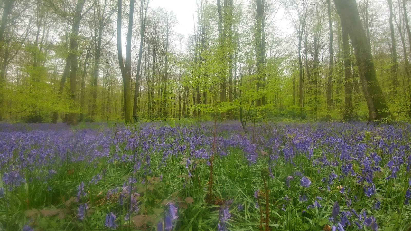 Chapelle Saint-Laurent