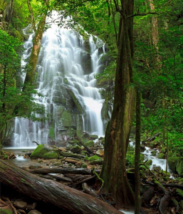 Rincón de la Vieja National Park - Image 1
