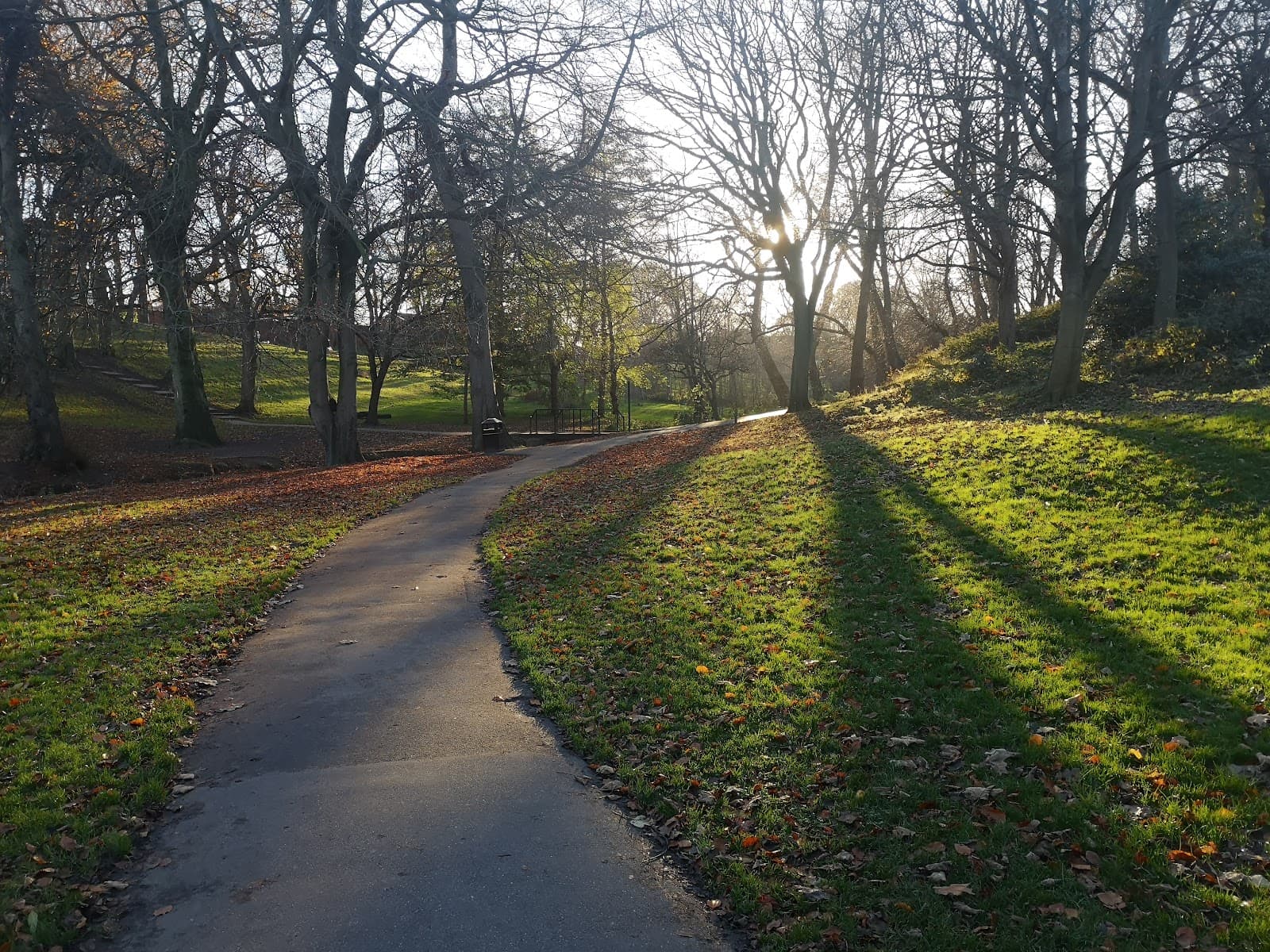 Backhouse Park - Image 1