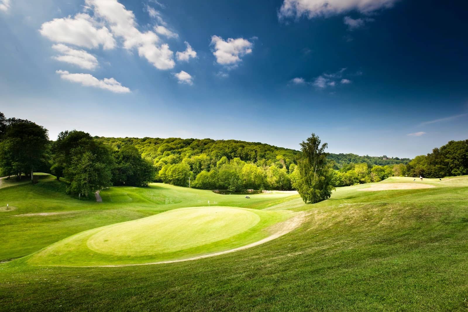 Tasty Restaurant Fare