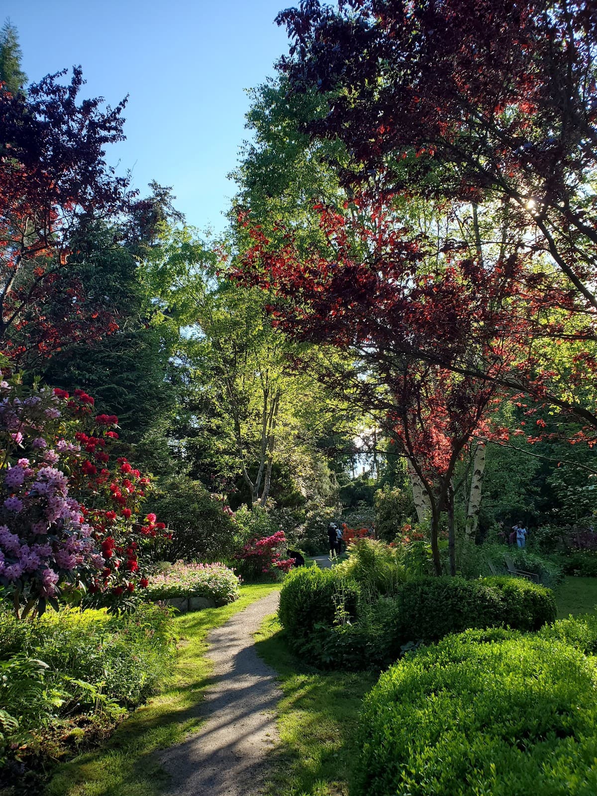 Paulik Park - Image 1