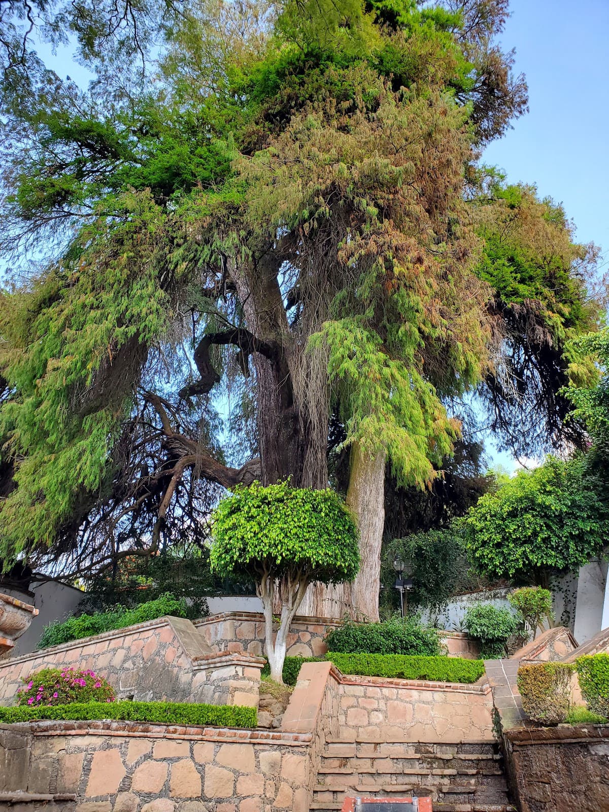 Parque El Pino - Image 1