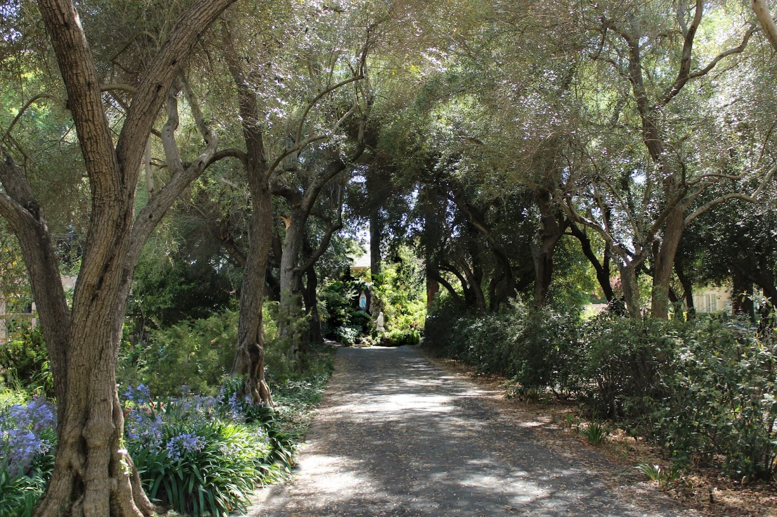 Carmelite Monastery (Santa Clara) - Image 1