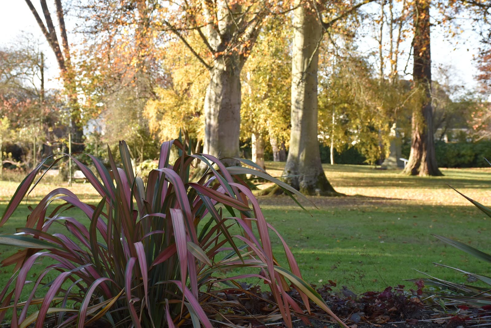 Bayeux Botanical Garden - Image 1