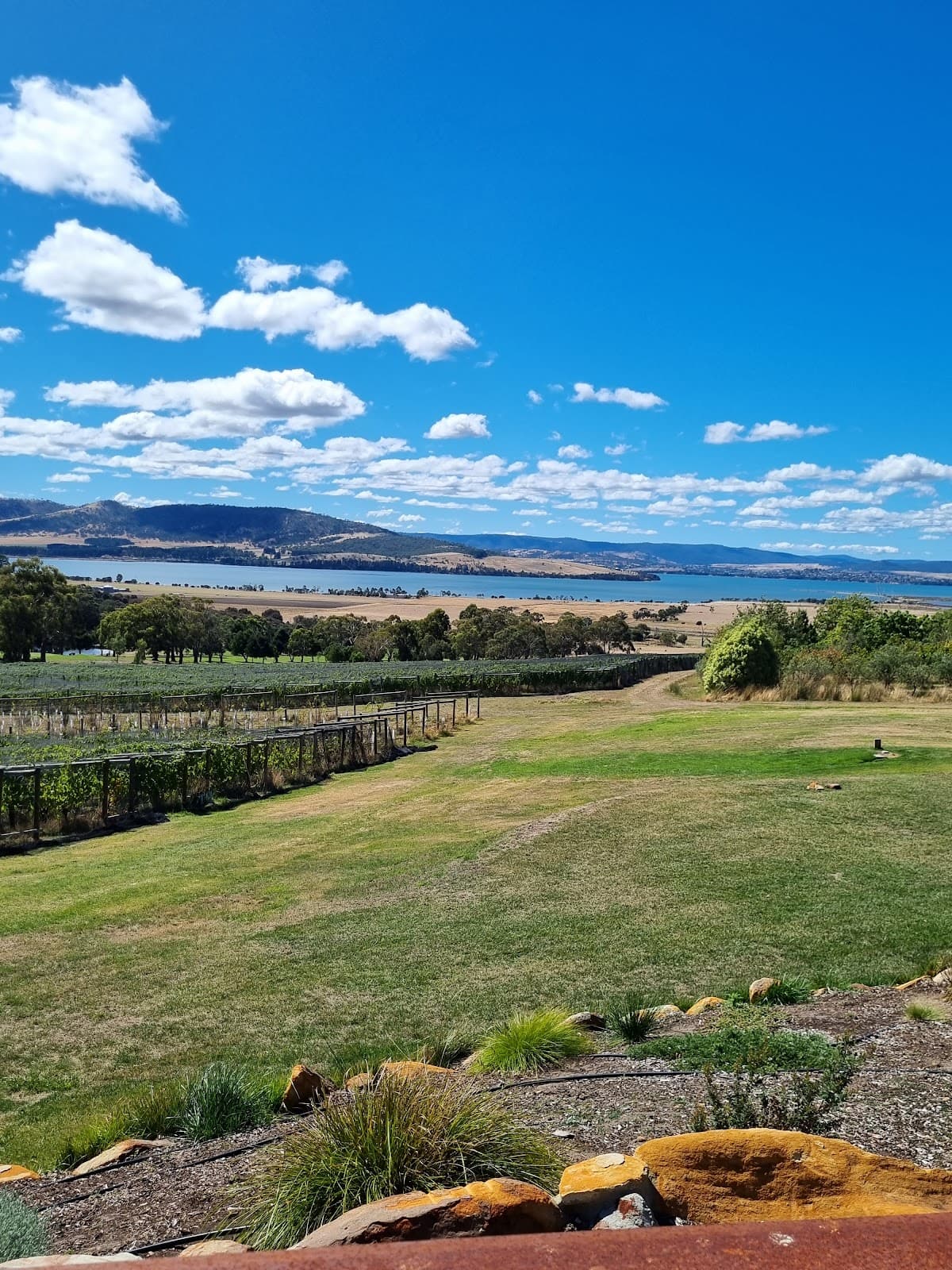 Coal River Valley Wine Region - Image 1