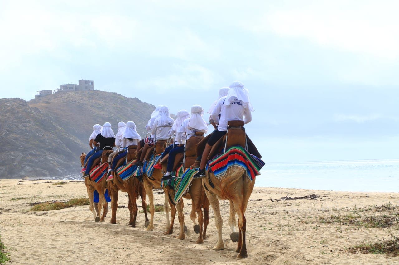 Migrino Beach Dunes - Image 1
