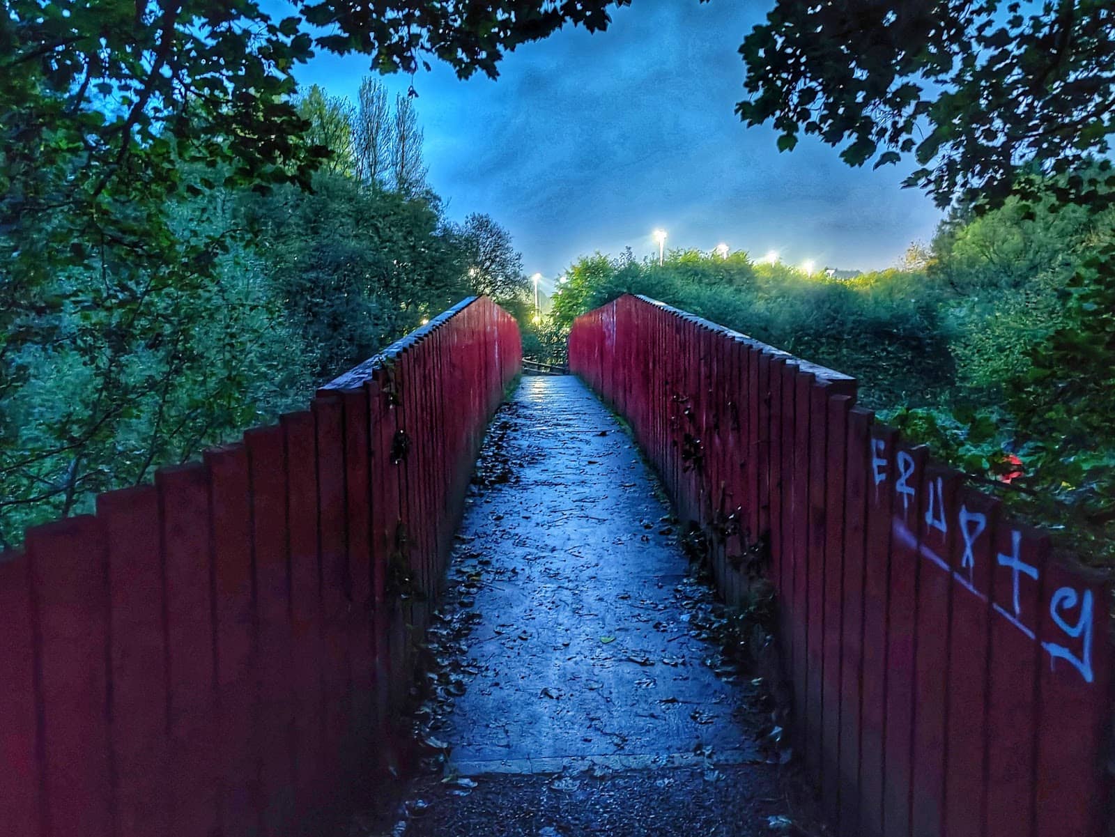 The Iconic Ballyskeagh Bridge