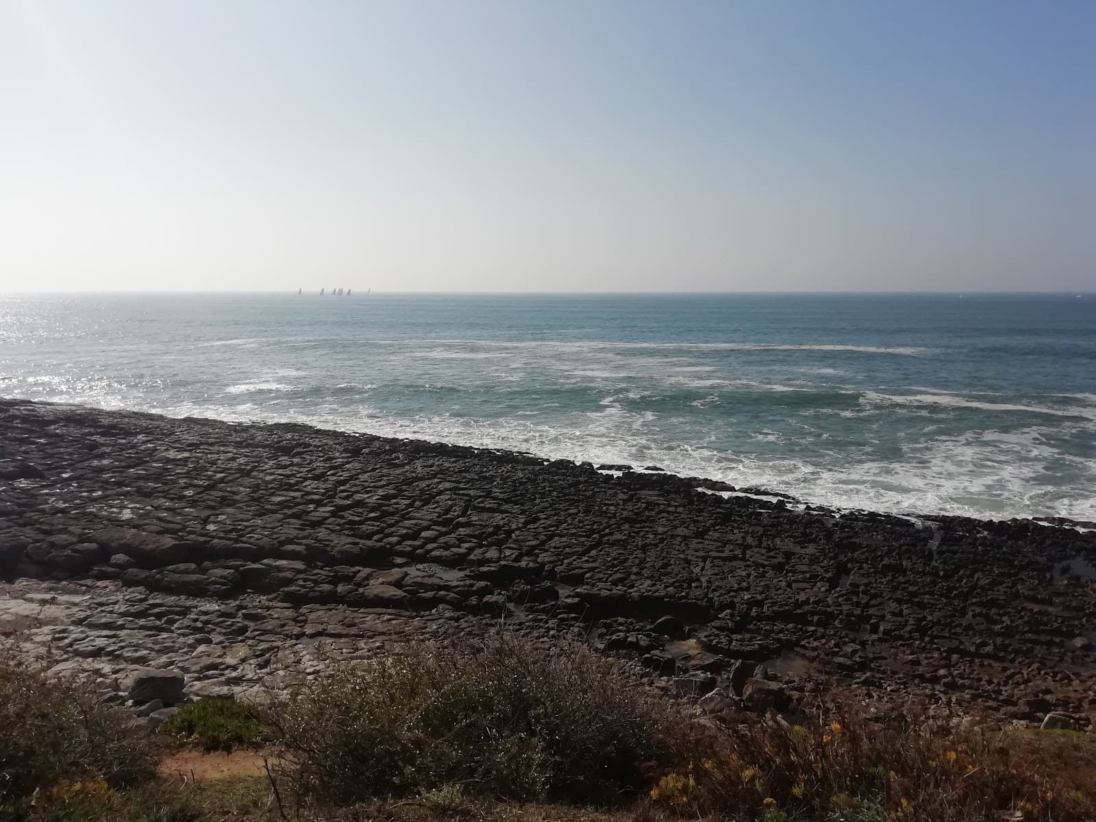 Pedra do Sal Environmental Center - Image 1