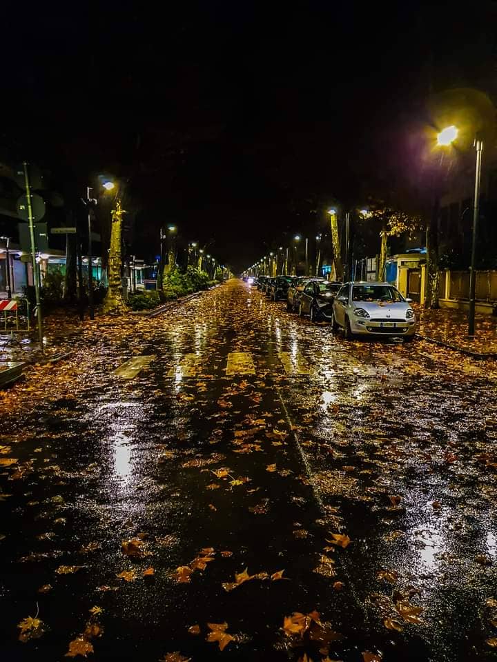 Trukystores Fashion Boutique