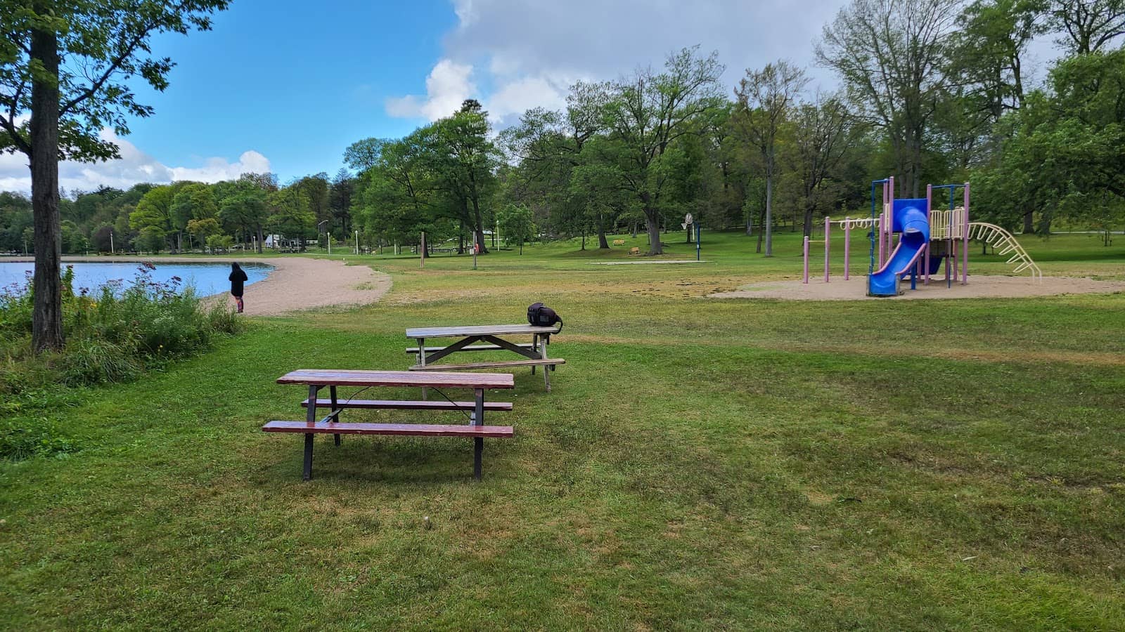 Dog Park Fun