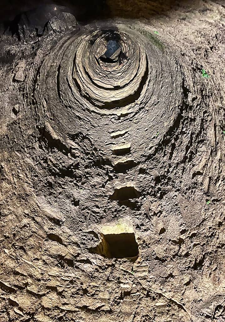 Vertical photo