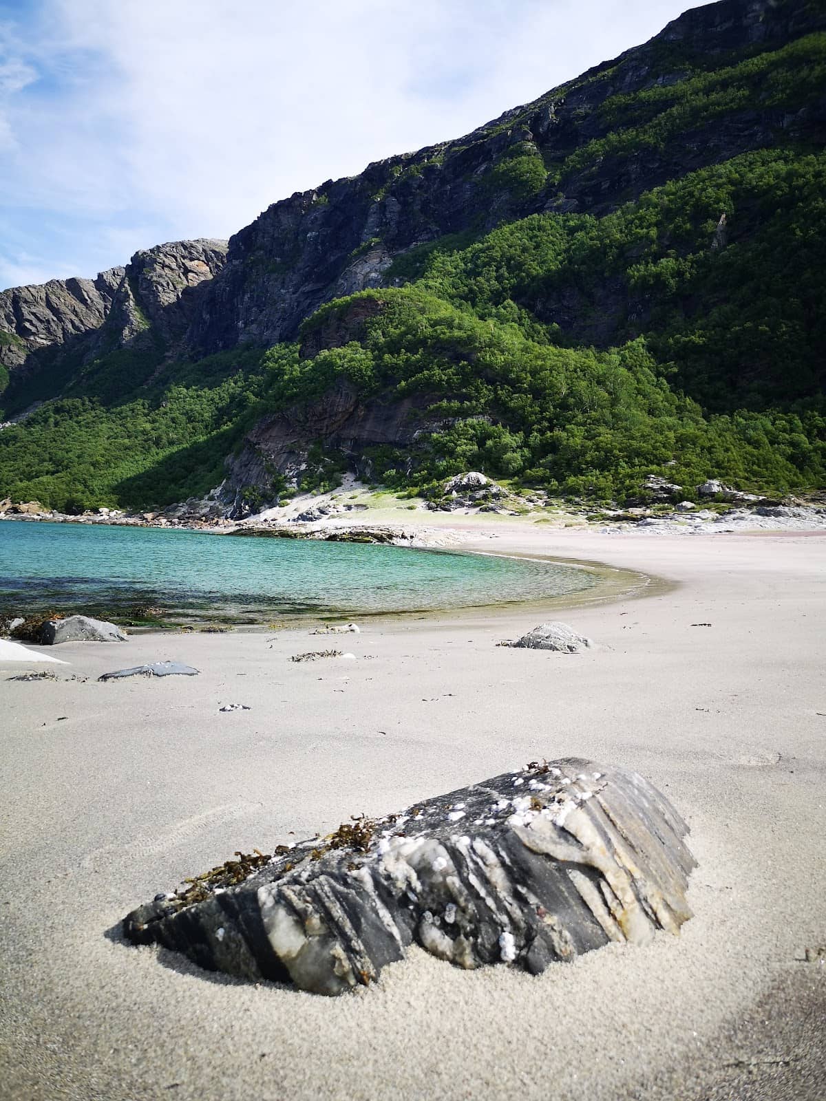 Scenic Coastal Hike