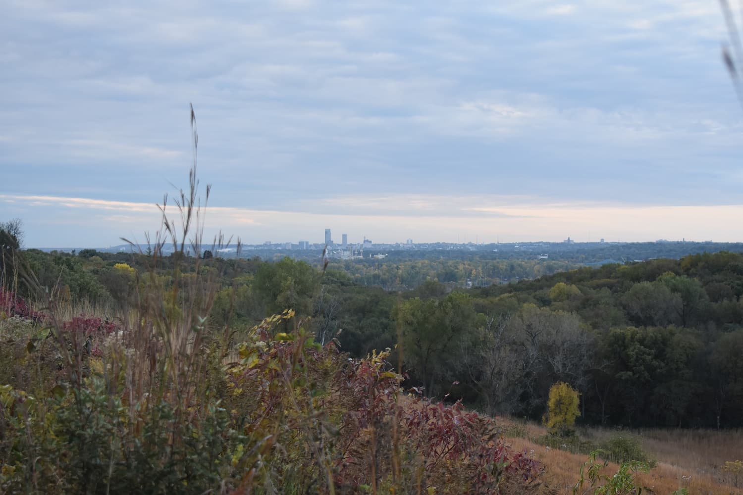 Neale Woods Nature Center - Image 1