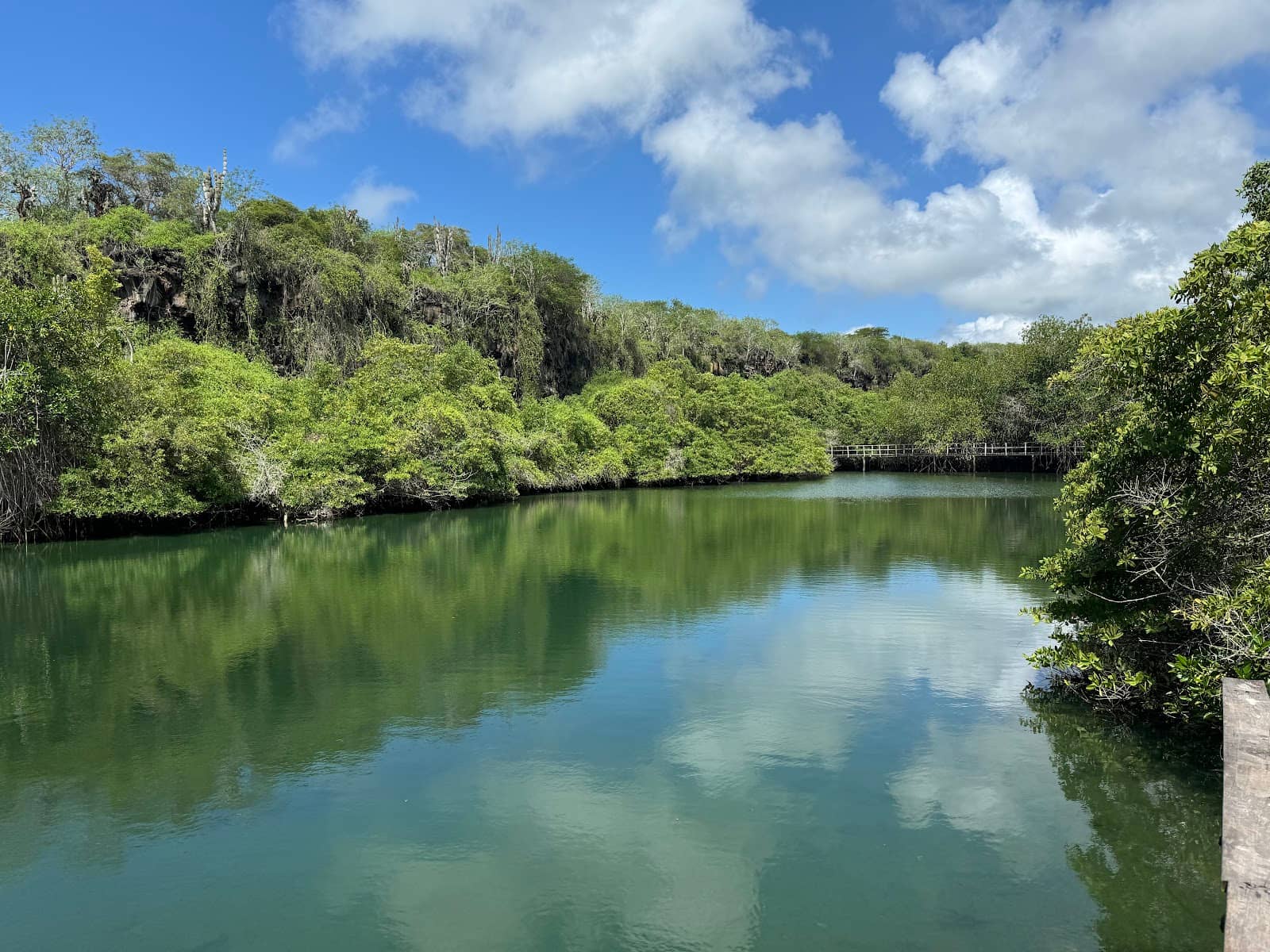 Tranquil Observation Point