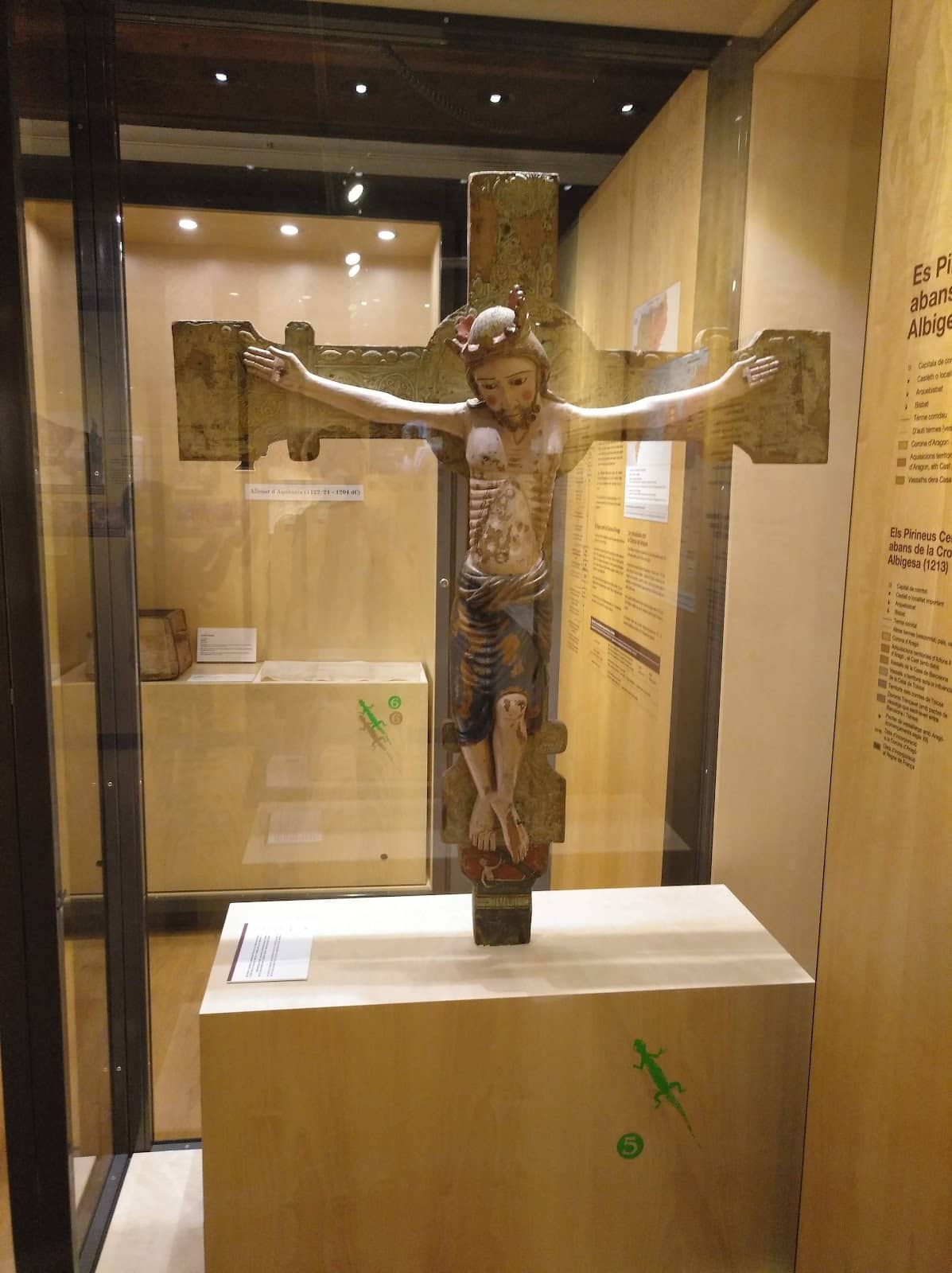 Natural History Displays