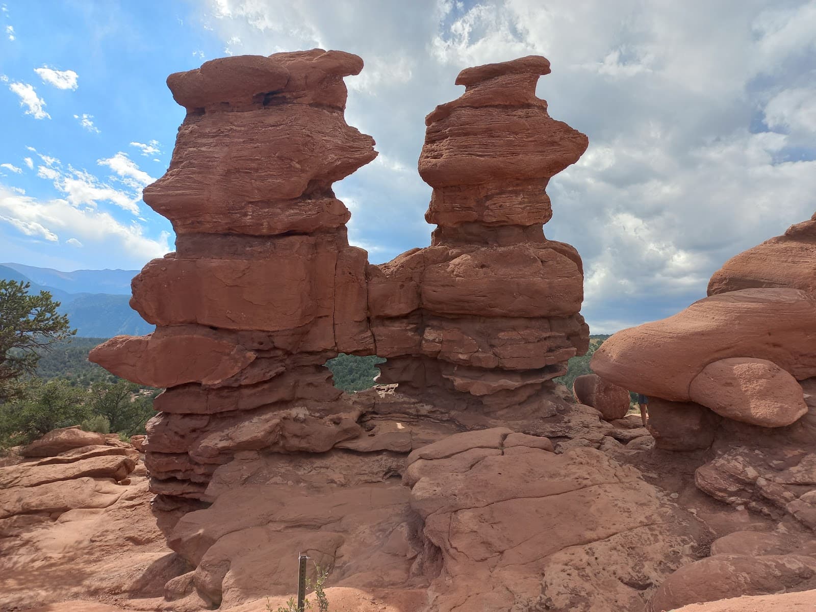 Siamese Twins - Image 1