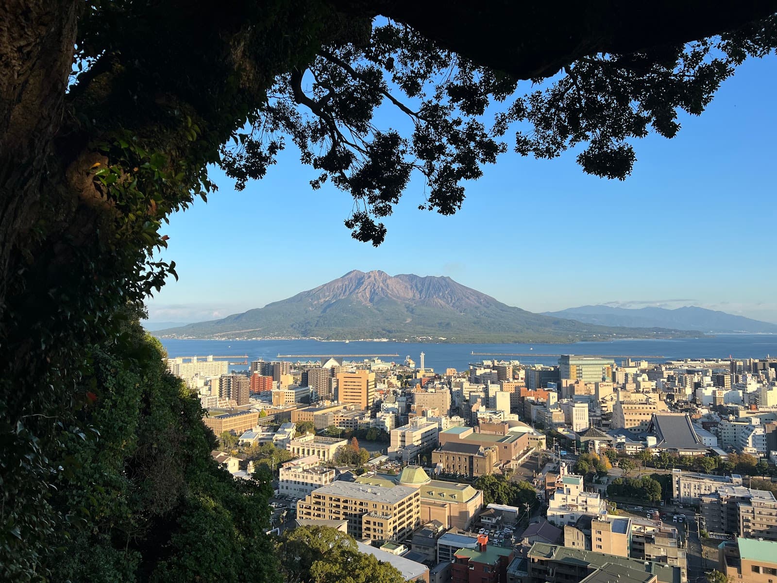 Kagoshima Prefectural Office Observatory - Image 1