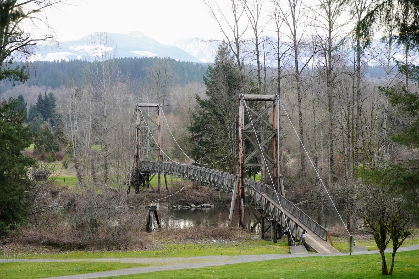 Tolt-MacDonald Park & Suspension Bridge - Image 1
