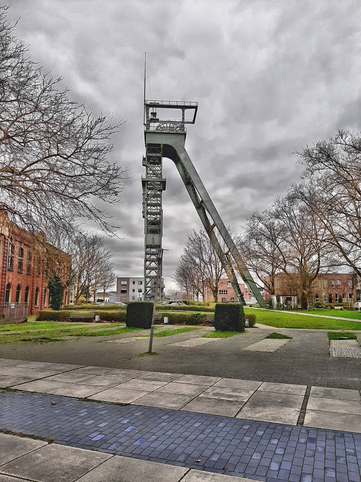Vertical photo