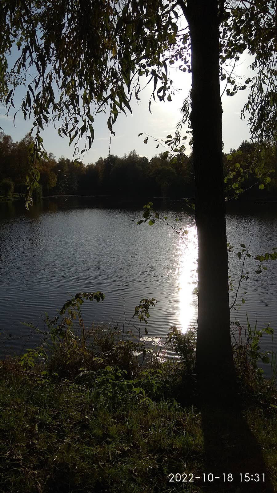 Vertical photo